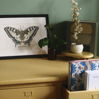 Dessin Papillon
