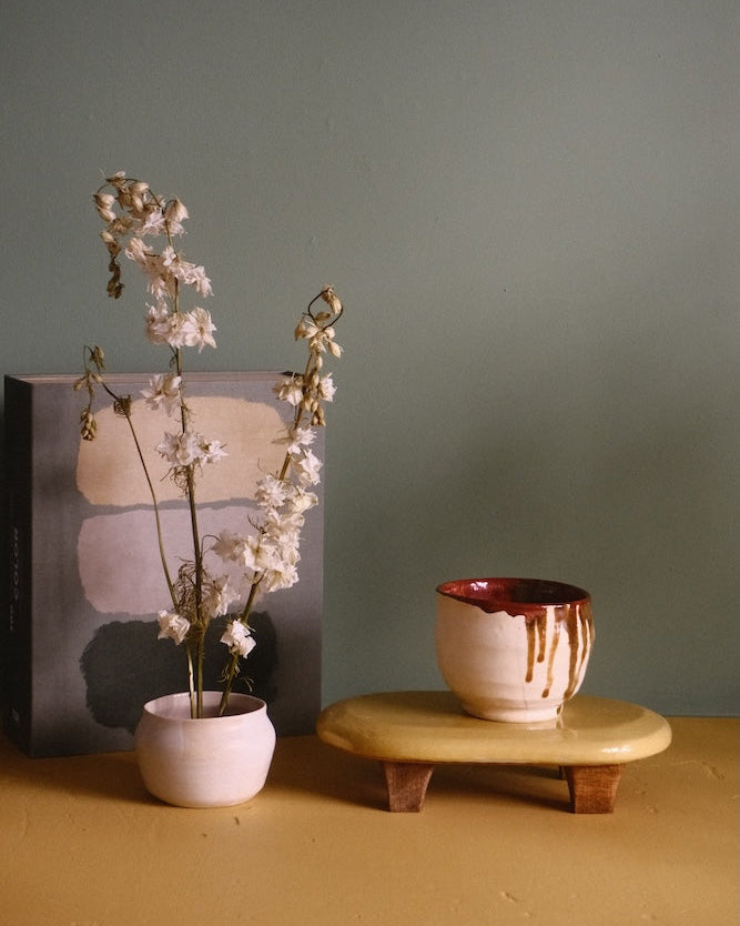 Bol sencha