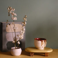 Bol sencha